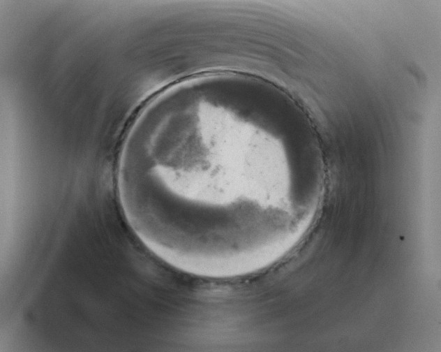 X0000116021505200912312143