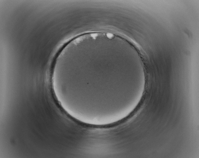 X0000116021506200912312143