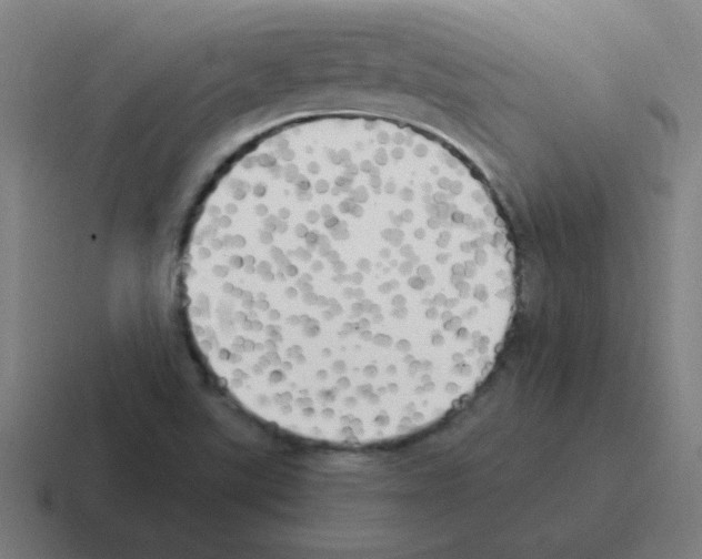 X0000116021507200912312143