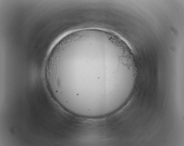 X0000116021510200912312143