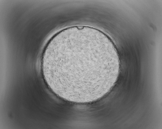 X0000116021511200912312143