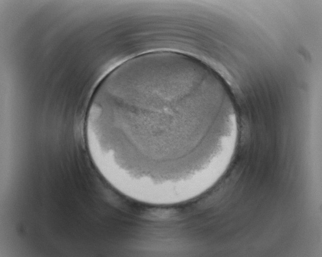 X0000116021513200912312143