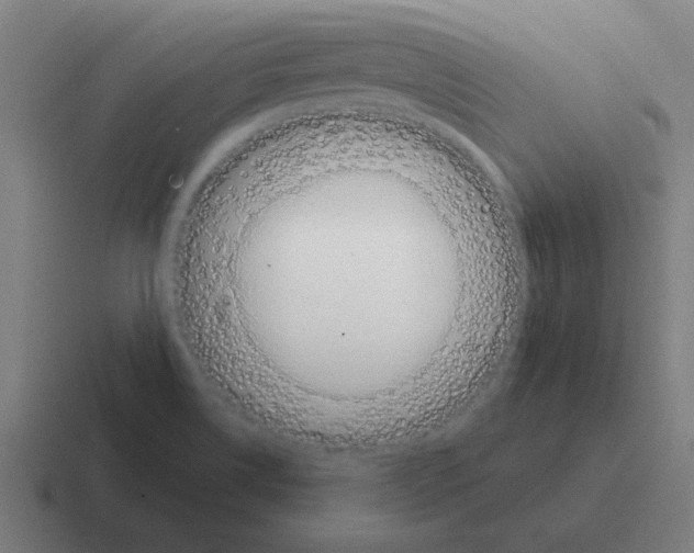 X0000116021514200912312143