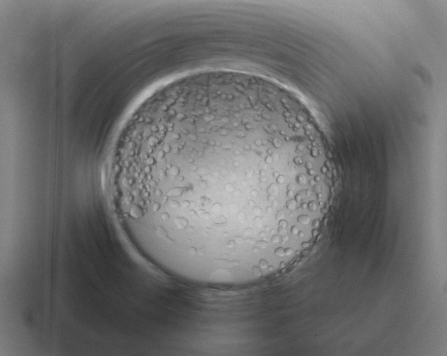 X0000116021515200912312143