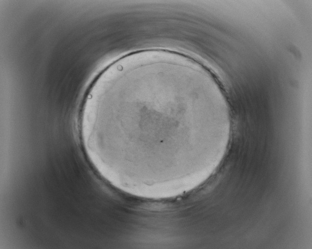 X0000116021517200912312143