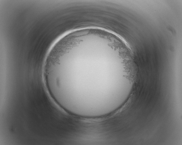 X0000116021518200912312143