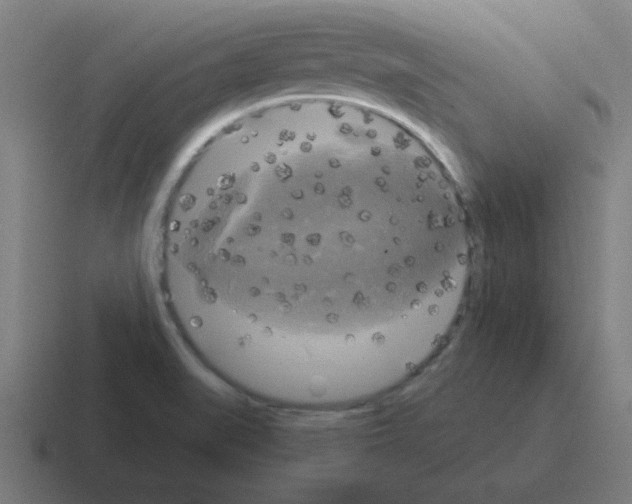 X0000116021519200912312143