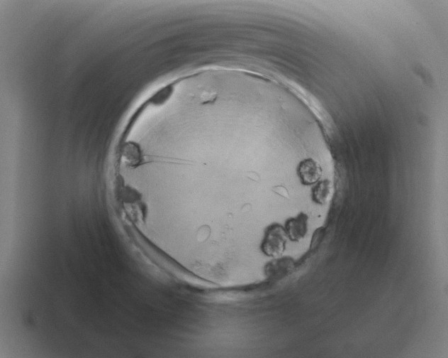 X0000116021522200912312143