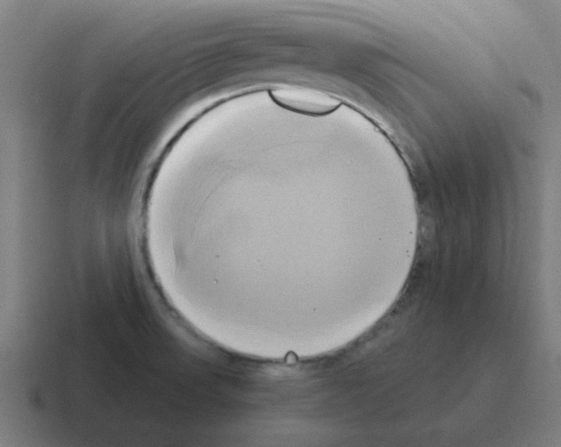 X0000116021523200912312143