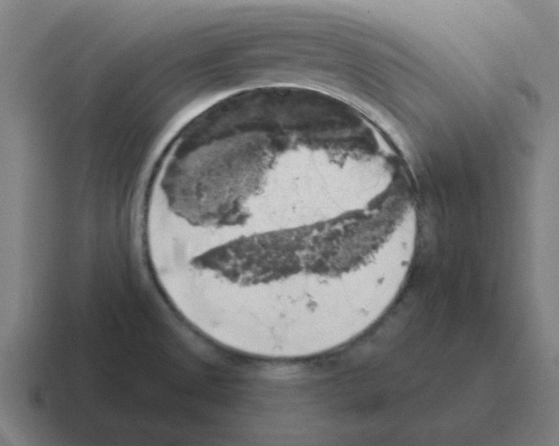 X0000116021525200912312143