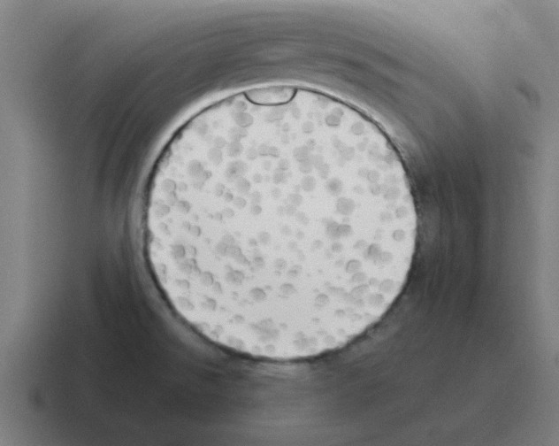 X0000116021526200912312143