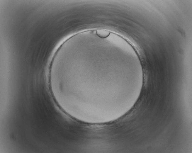 X0000116021527200912312143