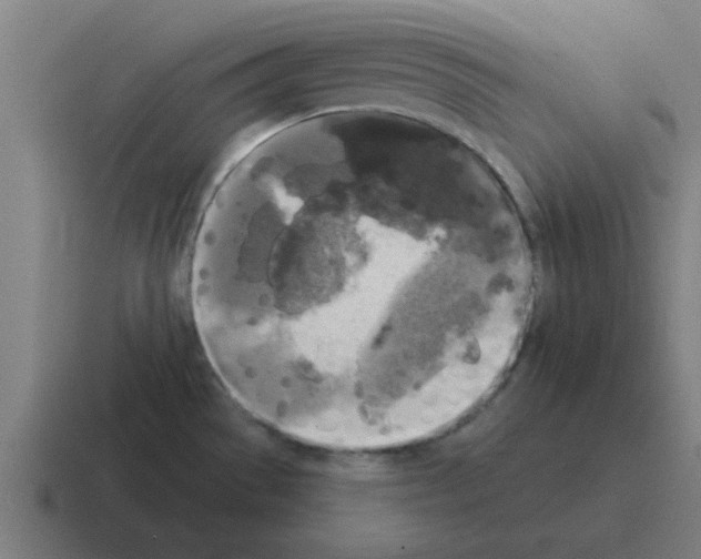 X0000116021529200912312143