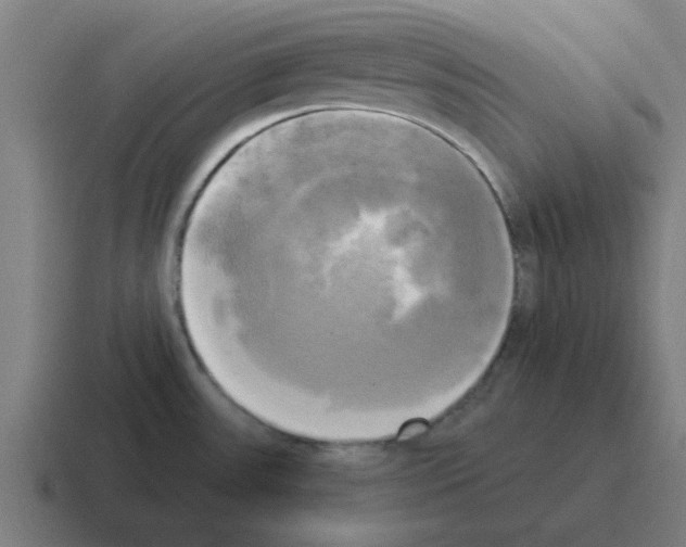 X0000116021531200912312143