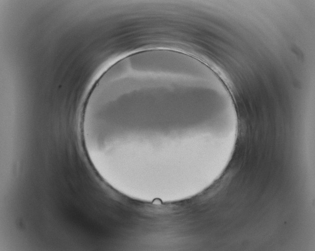 X0000116021533200912312143