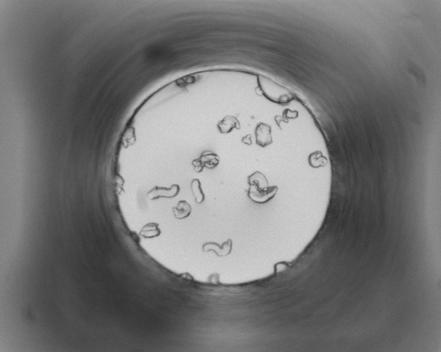 X0000116021534200912312143