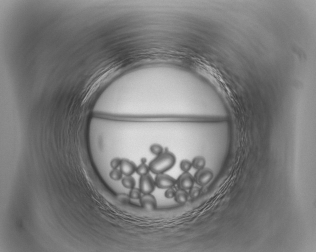 X0000116030001200911201009