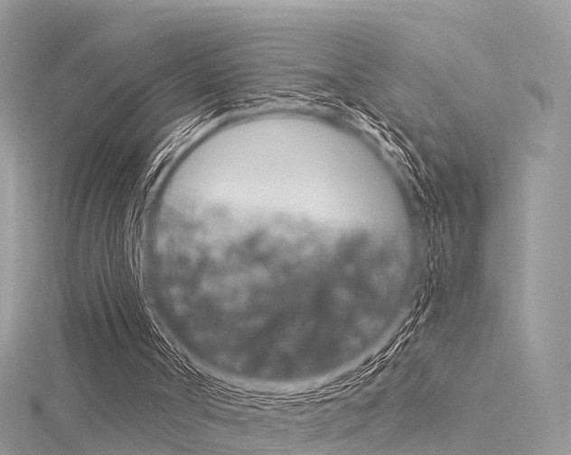 X0000116030002200911201009