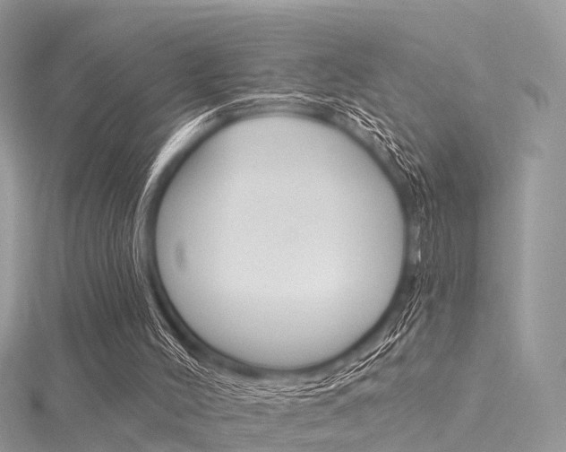 X0000116030004200911201009