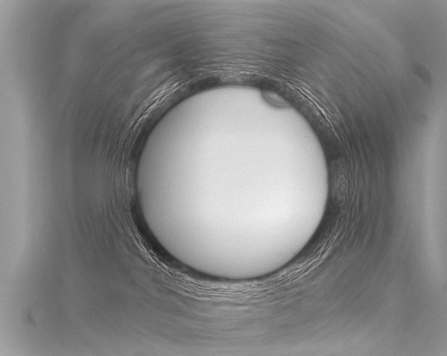 X0000116030044200911201009