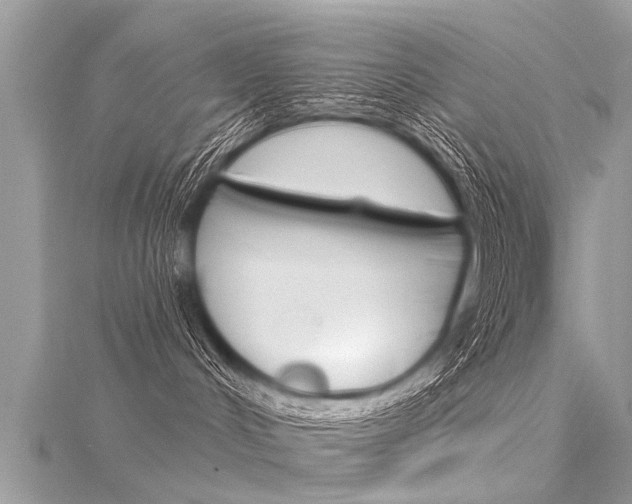 X0000116030048200911201009