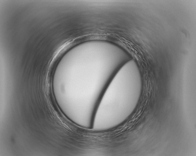 X0000116030053200911201008