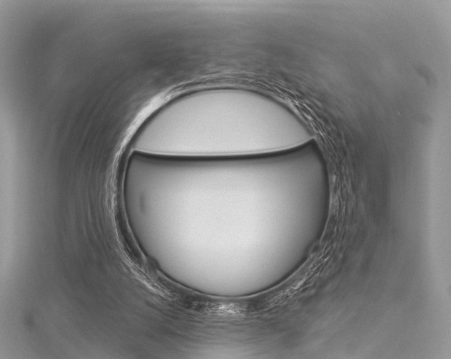 X0000116030056200911201008