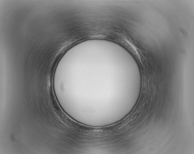 X0000116030059200911201008