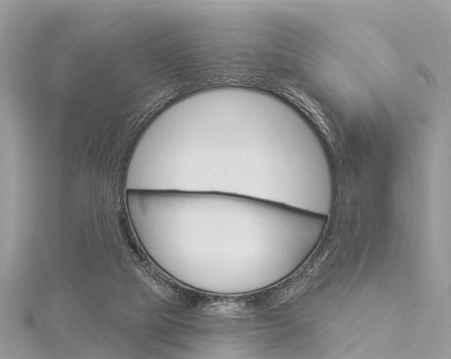 X0000116030065200911201008