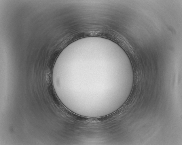 X0000116030073200911201008