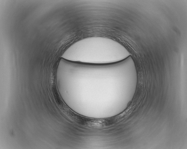 X0000116030086200911201008