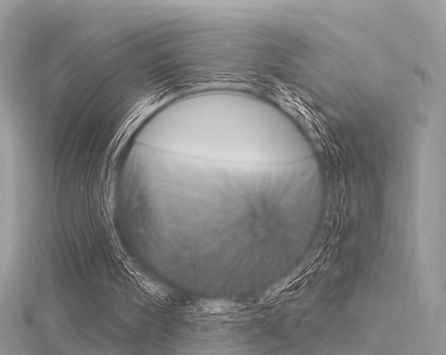 X0000116030098200911201008