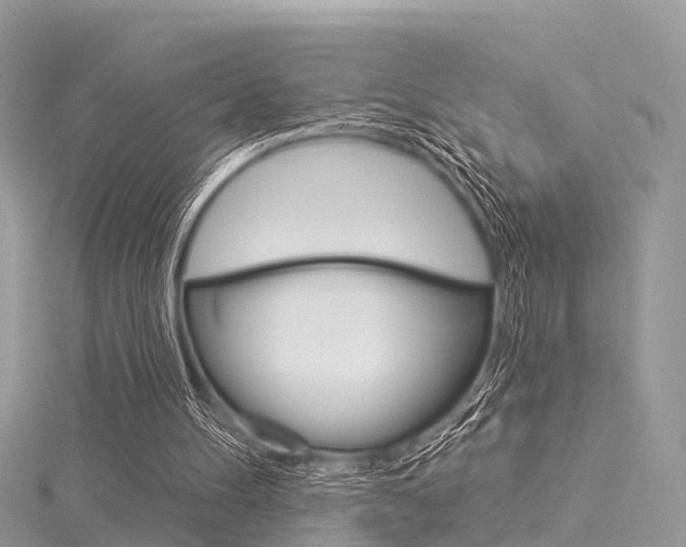 X0000116030100200911201008