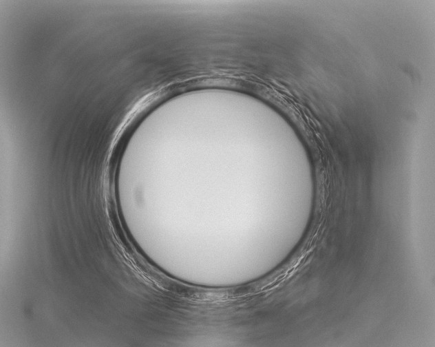 X0000116030102200911201008