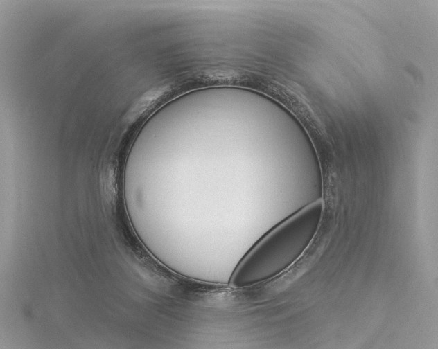 X0000116030116200911201008