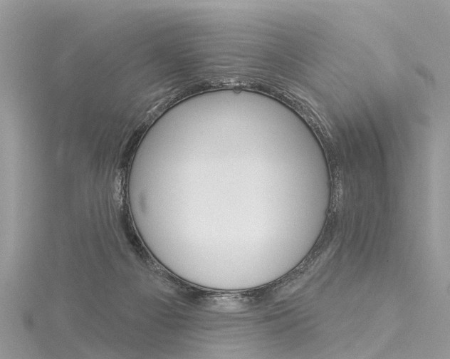 X0000116030121200911201008