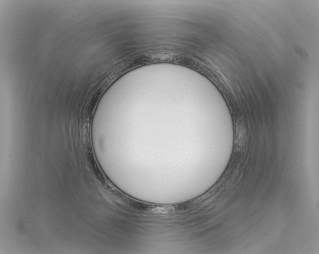 X0000116030126200911201008