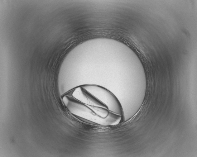 X0000116030128200911201007