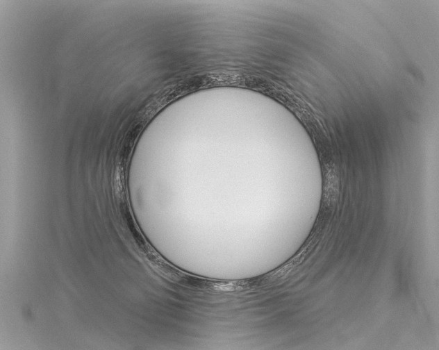 X0000116030130200911201007