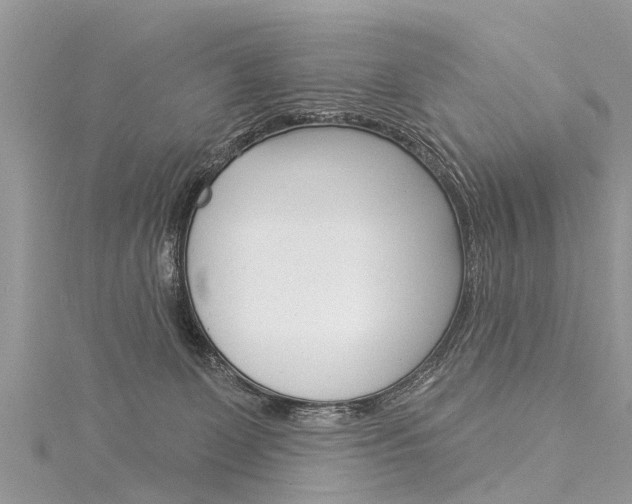 X0000116030131200911201007