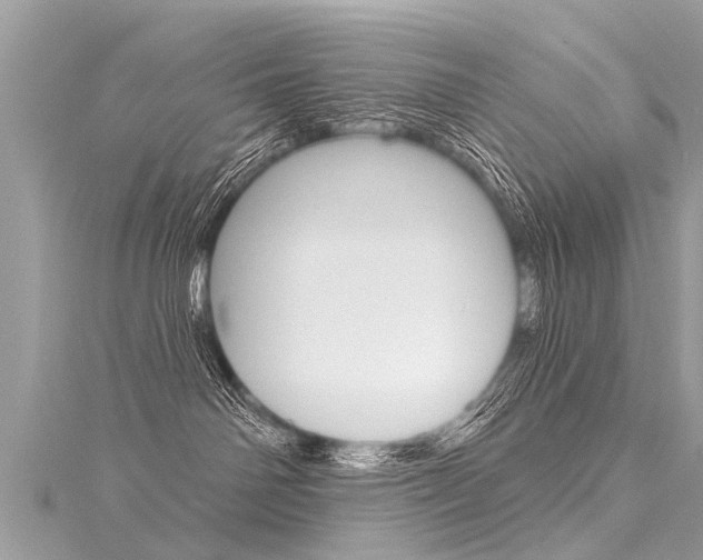 X0000116030142200911201007