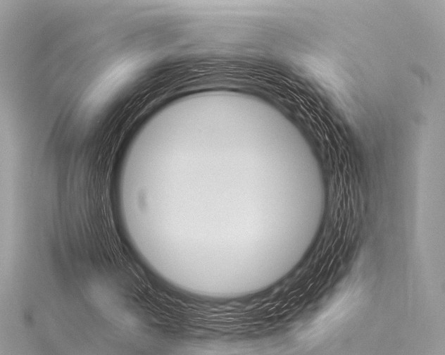 X0000116030146200911201007