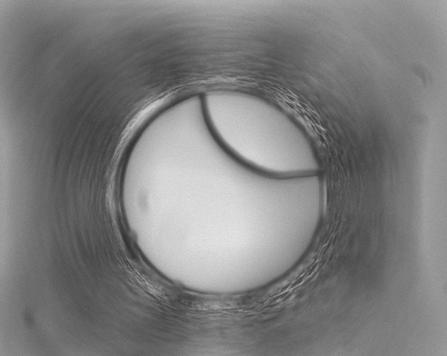X0000116030147200911201007