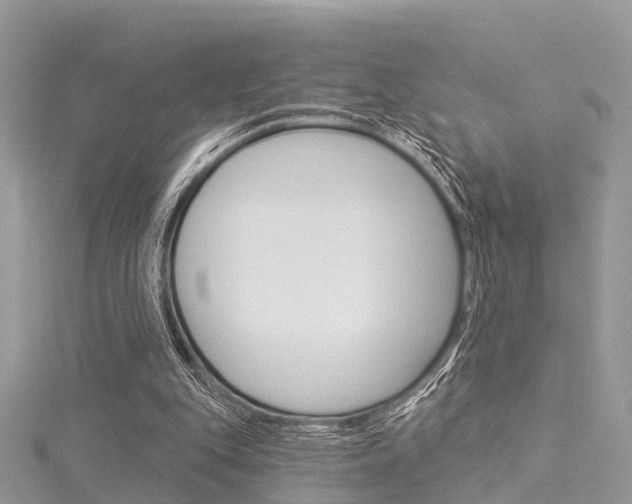 X0000116030151200911201007