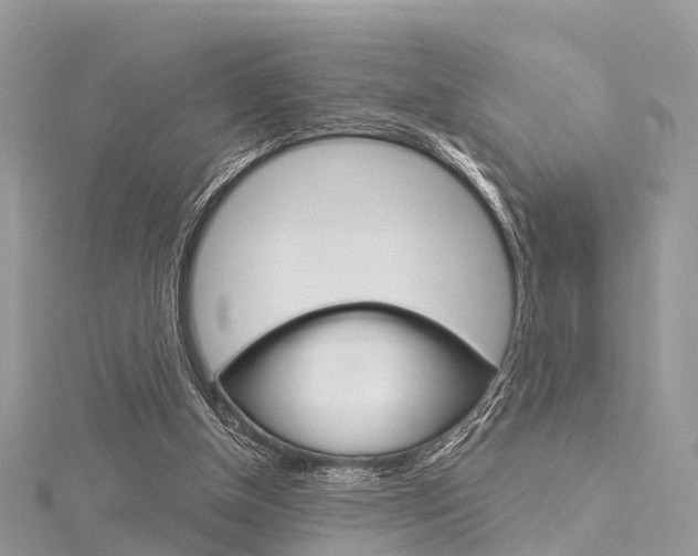 X0000116030154200911201007