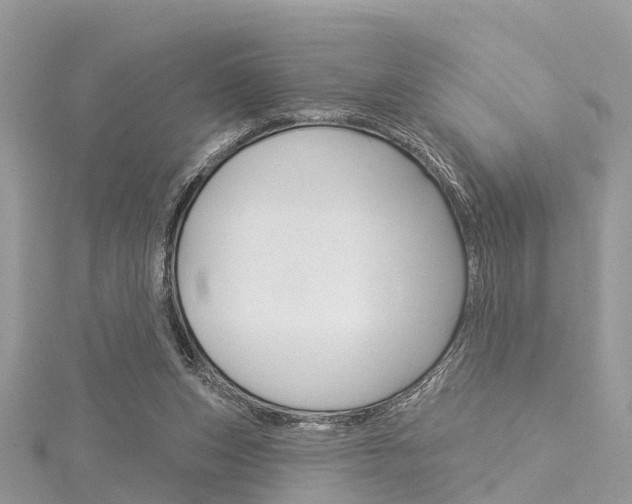 X0000116030159200911201007