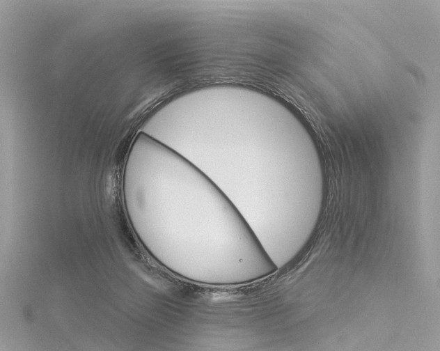 X0000116030165200911201007