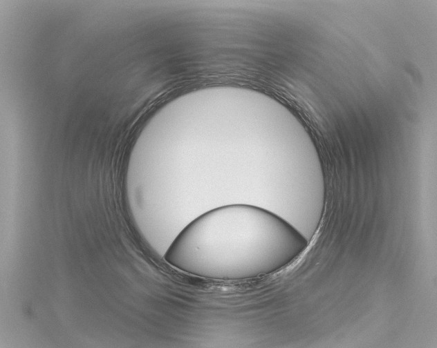 X0000116030174200911201007