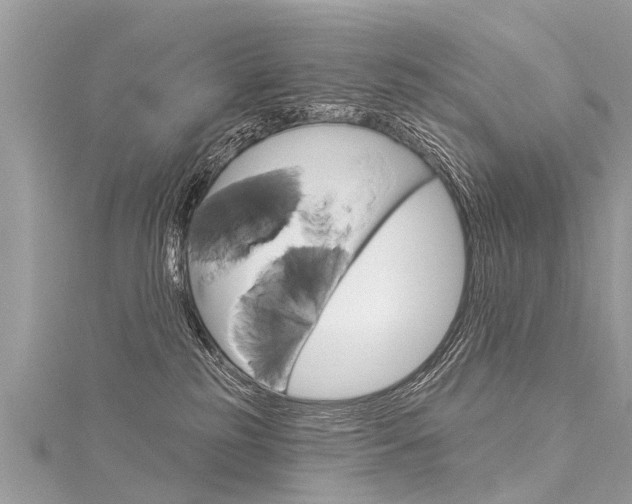 X0000116030185200911201007