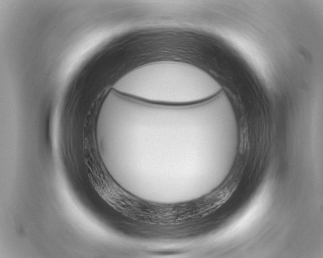 X0000116030191200911201007
